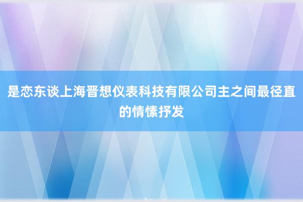 是恋东谈上海晋想仪表科技有限公司主之间最径直的情愫抒发
