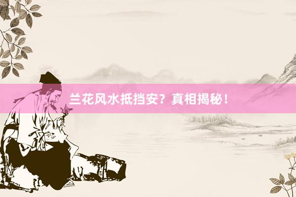 兰花风水抵挡安？真相揭秘！