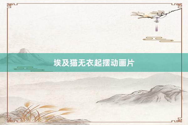 埃及猫无衣起摆动画片